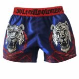 Lightweight Martial Shorts for Gym and Training